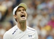 九游APP-美网翻盘澳网，穆雷带队取胜