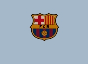 九游游戏-当巴萨遇见沙漠之狐，罗德里戈点燃的跨大陆足球之火