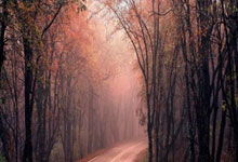 九游娱乐网站-勒布朗落幕？淘汰夜引爆全网，传奇背影下的冰与火之歌