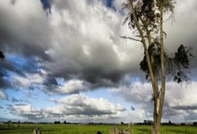 九游娱乐网页-中超奇幻夜！利物浦足球俱乐部迎战洛杉矶湖人篮球队