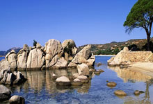 九游娱乐入口-双面西班牙：一场自己战胜自己的美洲杯神话