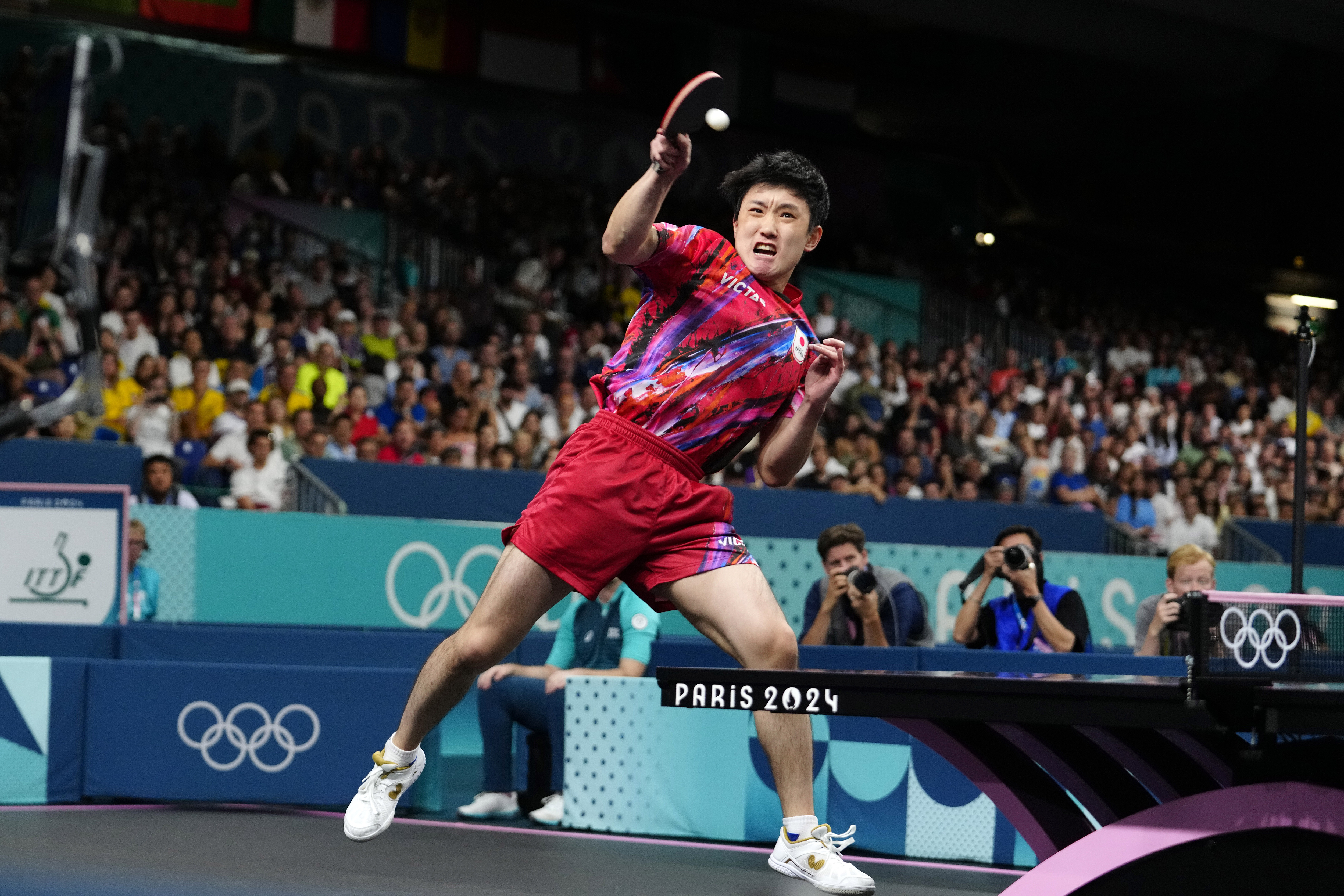 日本乒乓球队鏖战波兰乒乓球队，张本智和惊艳世界的简单介绍