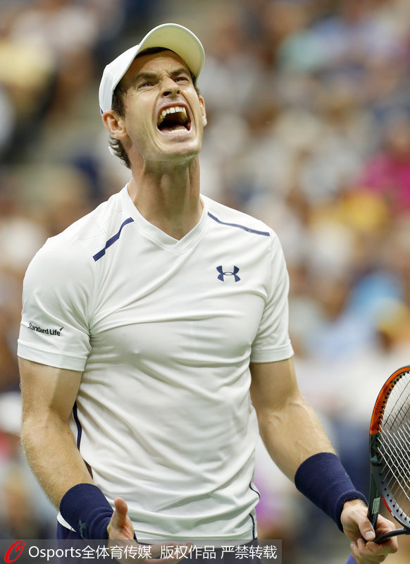 美网翻盘澳网,穆雷带队取胜 美网翻盘澳网,穆雷带队取胜