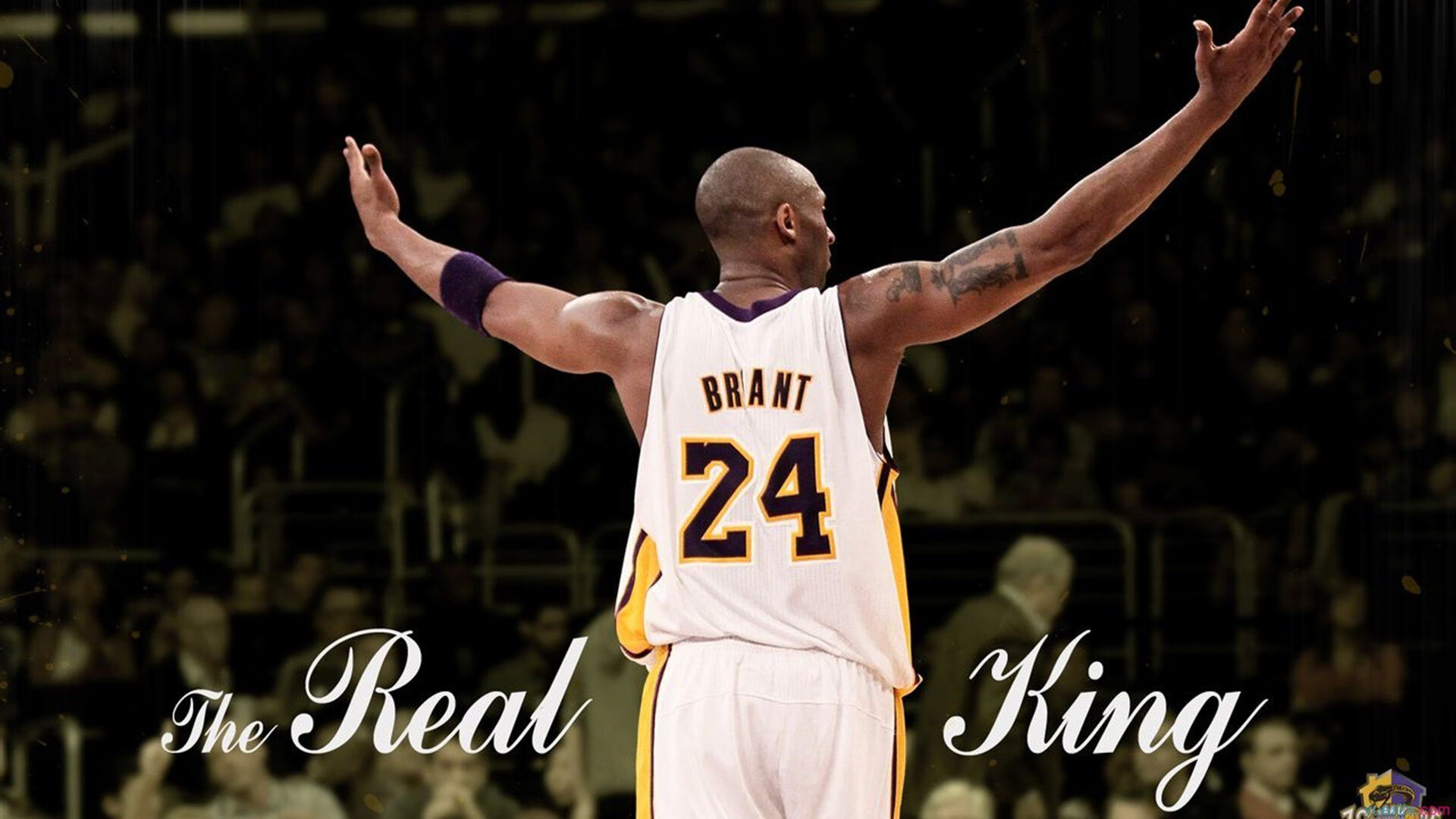 篮网绝杀勇士，锡安世界杯接管，双线战场，唯一主角